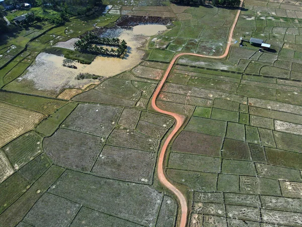Vista Panorâmica Uma Estrada Plantações Arroz Perto Mar Província Phang — Fotografia de Stock