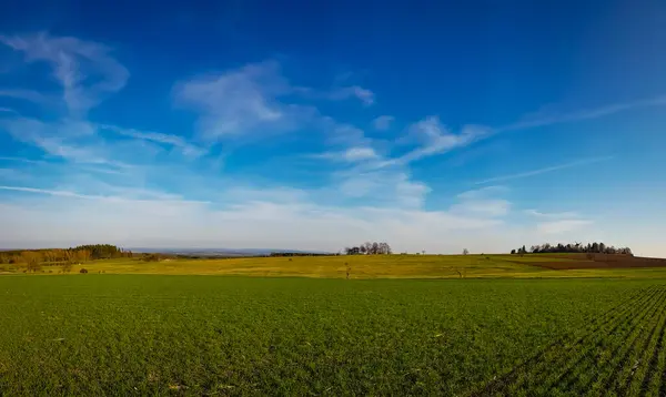 Piękny Strzał Dużego Zielonego Pola Rolniczego Pod Jasnym Niebem — Zdjęcie stockowe