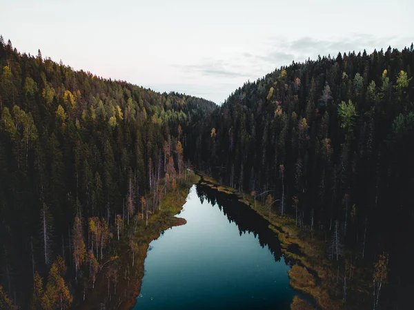 Yeşil çam ormanlarıyla çevrili bir göl manzarası.