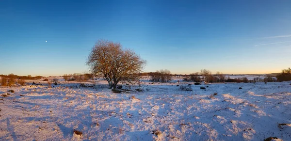 Beau Cliché Paysage Enneigé — Photo