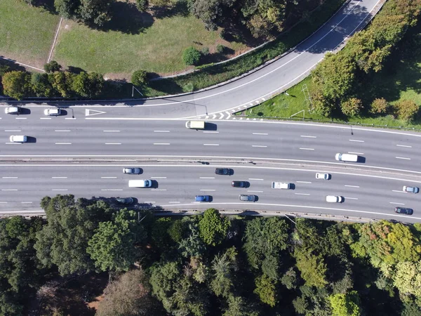 Utsikt Över Motorvägen Omgiven Träd Portugal — Stockfoto