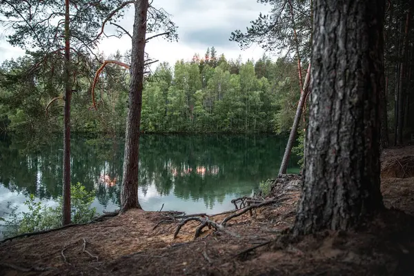 Priveliște Frumoasă Unui Lac Liniștit Copaci Reflectați Apă — Fotografie, imagine de stoc