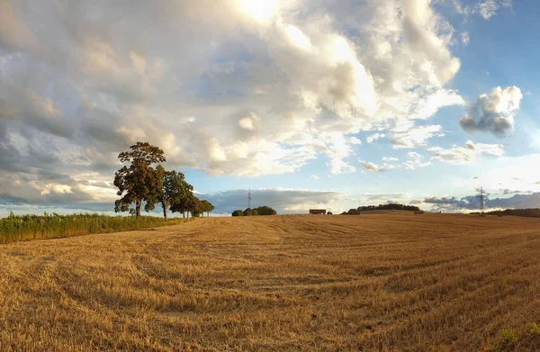 Eine Riesige Landschaft Aus Braunem Feld Unter Einem Bewölkten Himmel — Stockfoto