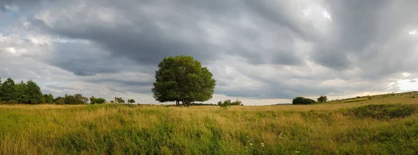 曇り空下の緑の野の空中パノラマショット — ストック写真