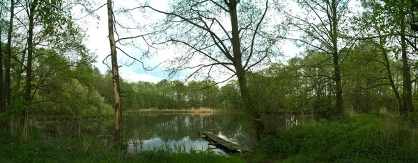 森林中小湖的全景摄影 — 图库照片
