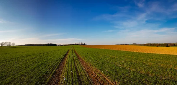 Panoramiczne Ujęcie Szlaku Przez Rolnicze Pole Pod Jasnym Niebem — Zdjęcie stockowe