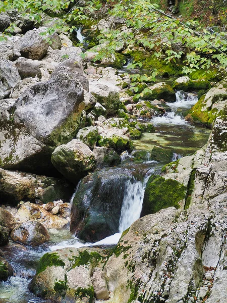 ジュリアン アルプス付近の苔に覆われた岩が多いボヒンジ湖の水景 — ストック写真