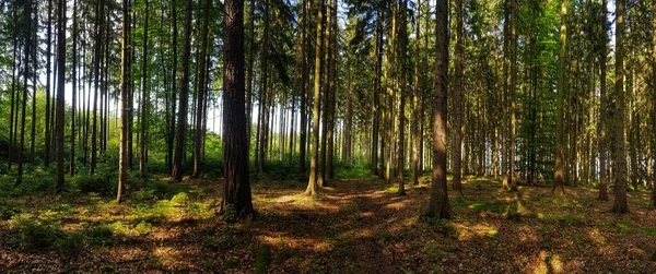 Piękne Ujęcie Krajobrazu Pod Chmurnym Niebem — Zdjęcie stockowe