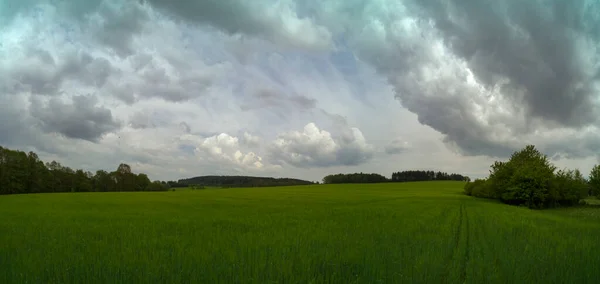 Vzdušný Panoramatický Záběr Zeleňového Pole Pod Zataženou Oblohou — Stock fotografie
