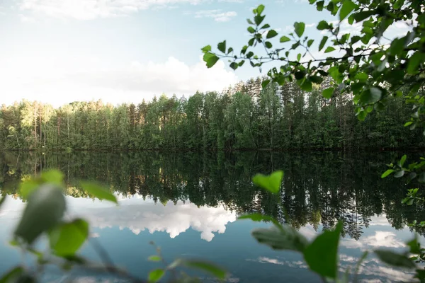 Een Prachtige Opname Van Een Meer Omringd Door Bomen Tijdens — Stockfoto