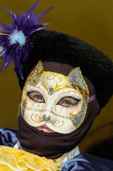 Uno Scatto Verticale Una Persona Costume Carnevale Venezia — Foto Stock