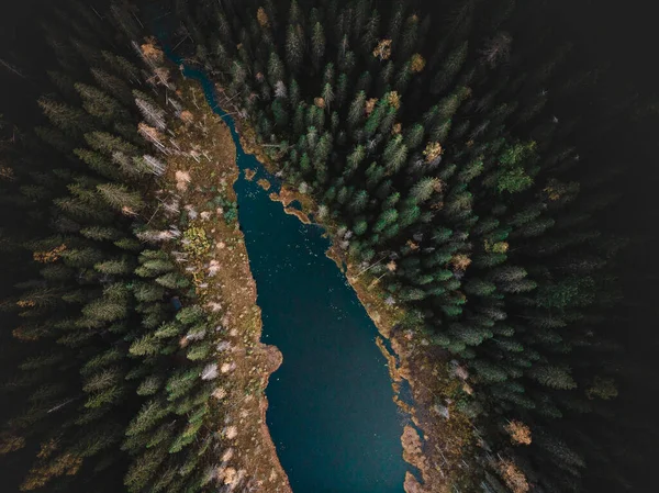 Aerial Top View Lake Surrounded Green Pine Forest — Stock Photo, Image