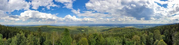 Panoramabild Landskap Trädtoppar Den Molniga Himlen — Stockfoto