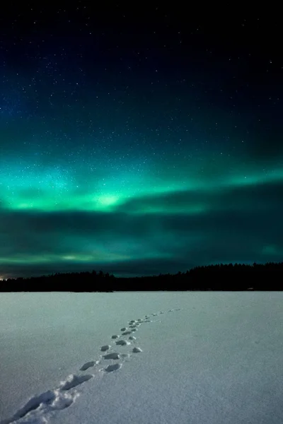 Beautiful Shot Northern Lights — Stock Photo, Image