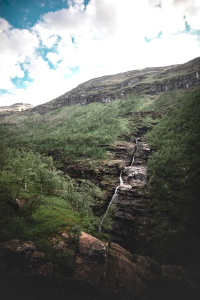 Eine Senkrechte Eines Wasserfalls Der Die Mit Moos Und Pflanzen — Stockfoto