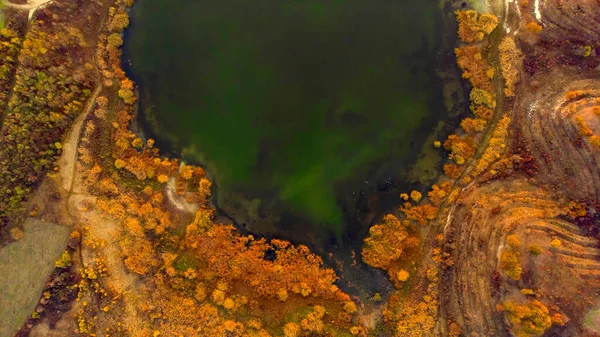 Strzał Drona Jeziora Otoczonego Przez Jesienne Drzewa — Zdjęcie stockowe