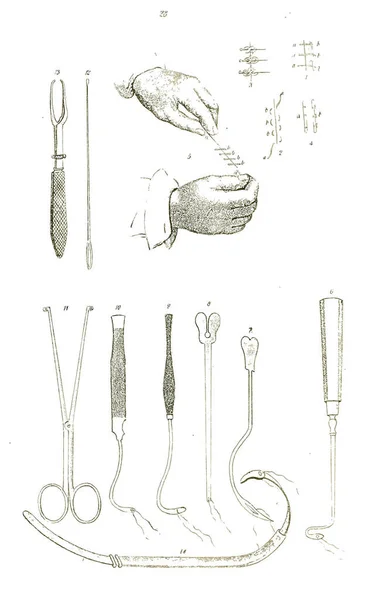 Učebnice Anatomie Devatenáctého Století Černobílé Barvě — Stock fotografie