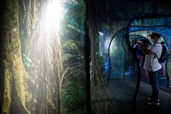 Eine Wunderschöne Regenwald Ausstellung Peru Pavilion Expo Dubai Mit Touristen — Stockfoto