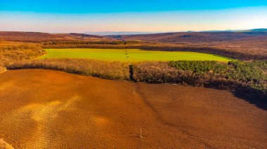 Gündüz vakti ağaçlarla çevrili bir tarımın güzel drone görüntüsü..