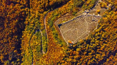 Sonbahar ağaçlarıyla çevrili eski bir kalenin drone görüntüsü..