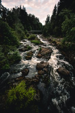 Yeşilliklerle çevrili kayaların arasından akan bir nehrin dikey görüntüsü.
