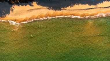 Kumsalda ağaç gölgeleri olan bir kumsalın drone görüntüsü..