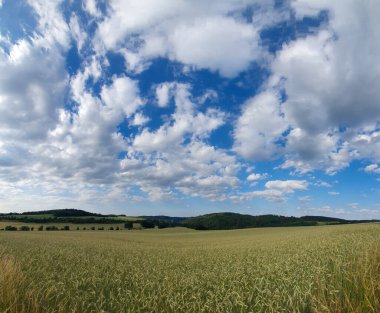Parlak bir gökyüzünün altında büyük bir tarla