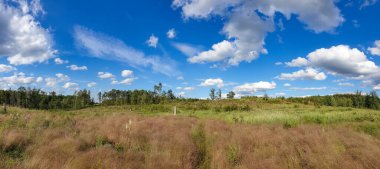 Gündüz vakti tarımsal bir alanın panoramik görüntüsü..