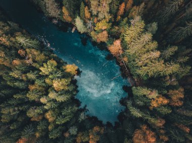 Yeşil bir çam ormanıyla çevrili bir göl manzarası.