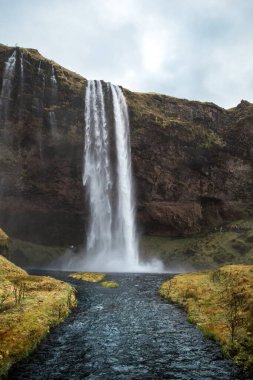 Seljalandsfoss Şelalelerinin İzlanda 'daki dikey çekimi