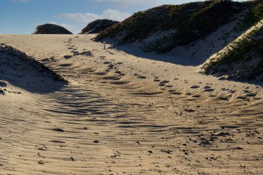 Kumsaldaki kum tepelerinde ayak sesleri Sahilde güneş ışığı altında