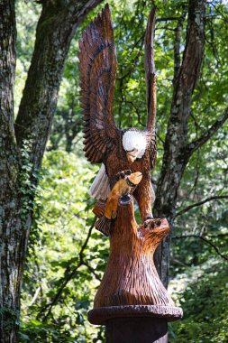 Pençelerine balık takılmış kel bir kartalın dikey görüntüsü.