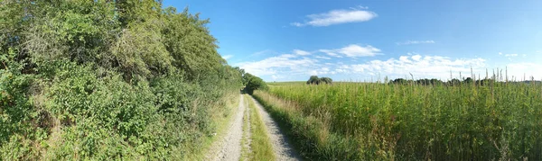 在阳光灿烂的日子里 绿色开阔的田野中的一条小路的全景 — 图库照片
