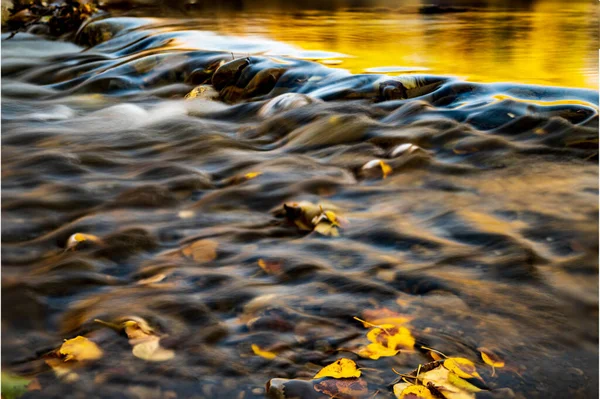Вид Камни Осенние Листья Воде — стоковое фото