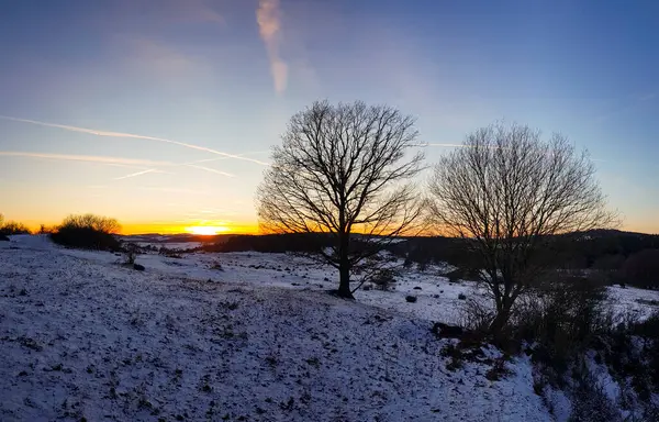 Ein Schneebedecktes Feld Mit Kahlen Bäumen Bei Sonnenuntergang — Stockfoto