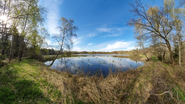 Una Splendida Vista Tranquillo Lago Con Alberi Riflessi Sull Acqua — Foto Stock