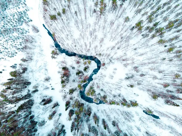 Vue Aérienne Une Rivière Qui Coule Dans Une Forêt Enneigée — Photo