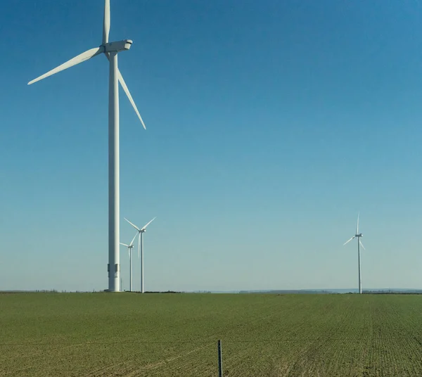 Een Veld Met Windturbines Tegen Heldere Lucht Achtergrond Met Kopieerruimte — Stockfoto