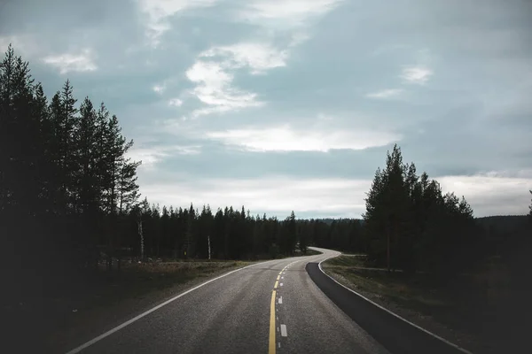 Une Route Asphaltée Sinueuse Près Une Forêt Dense Sapins — Photo