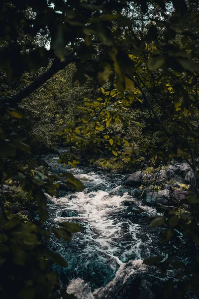 Een Verticaal Van Een Rivier Stroomt Door Rotsen Omringd Door — Stockfoto