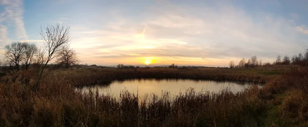 日落时草场水坑的全景照片 — 图库照片