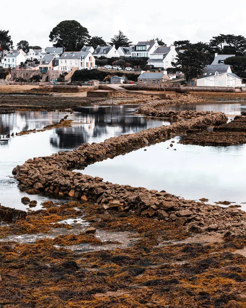 Eine Nahaufnahme Der Fording Auf Der Insel Larmor Baden Frankreich — Stockfoto