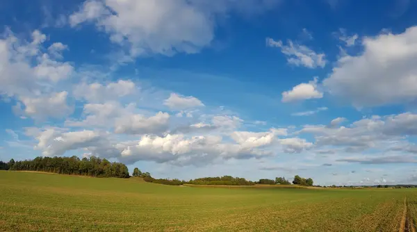 曇り空の下の美しい緑の野 — ストック写真