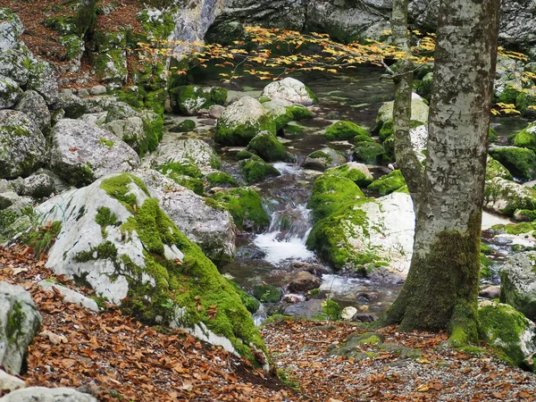 Uitzicht Wateren Van Het Bohinj Meer Met Veel Rotsen Bedekt — Stockfoto