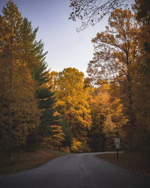 一个美丽的风景 有一条路穿过一个金黄的秋天公园 — 图库照片