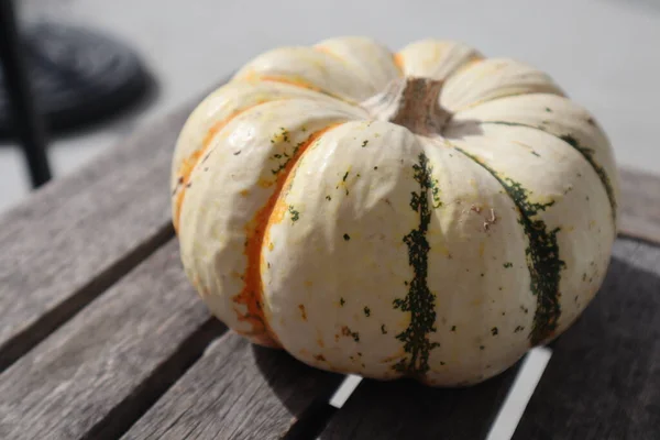 Närbild Bild Vit Pumpa Gourd Ett Träbord Bra För Hösten — Stockfoto