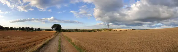 Een Panoramische Opname Van Een Landbouwveld Herfst — Stockfoto