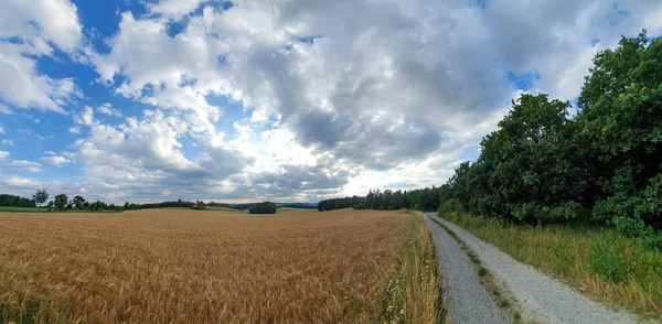 Panoramaaufnahme Eines Weges Durch Ein Sonniges Feld Unter Hellem Himmel — Stockfoto