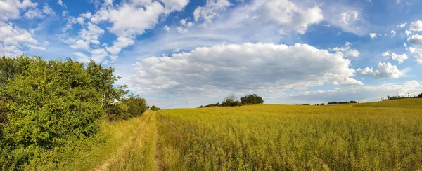 Uma Vista Panorâmica Campo Aberto Verde Sob Céu Azul Nublado — Fotografia de Stock
