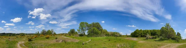 Panorámás Kilátás Ösvényre Egy Zöld Nyílt Mezőn Egy Napsütéses Napon — Stock Fotó